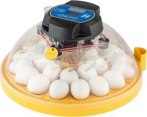 Brinsea Maxi 24 Advance Egg Incubator with Automatic Egg Turning and Temperature Control for Hatching 24 Chicken, Duck, Parrots, or Other Eggs,-...