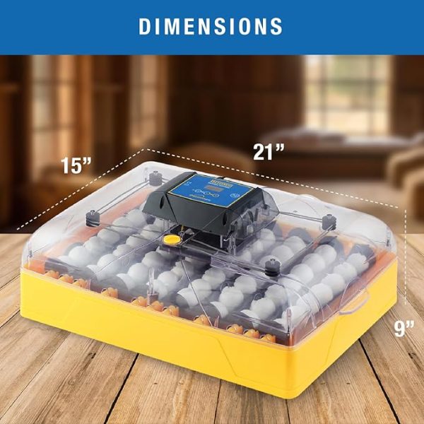 Brinsea Ovation 56 EX Egg Incubator With Automatic Humidity Control and Egg Turning for Hatching 56 Chicken, Duck, Other Bird Eggs, Precision...