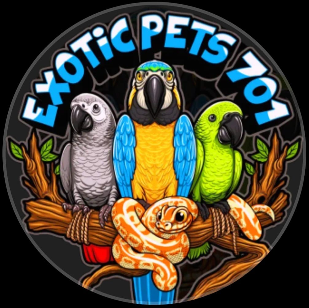 Exotic Pet Store