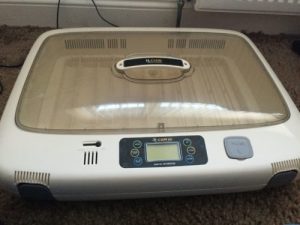 R-Com 50 Incubator Hatching Fertile Macaw Eggs R-Com 50 Incubator Hatching Fertile Macaw Eggs