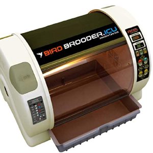 R-Com Rcom Bird Avian Brooder Nursery ICU MX-BS 500 R-Com Rcom Bird Avian Brooder Nursery ICU MX-BS 500