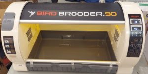 R-Com Rcom Bird Avian Brooder Nursery ICU MX-BS 500N R-Com Rcom Bird Avian Brooder Nursery ICU MX-BS 500N